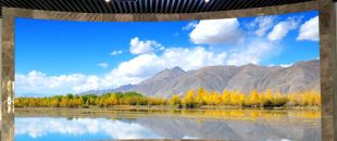 小間距l(xiāng)ed顯示屏未來的發(fā)展前景怎么樣？